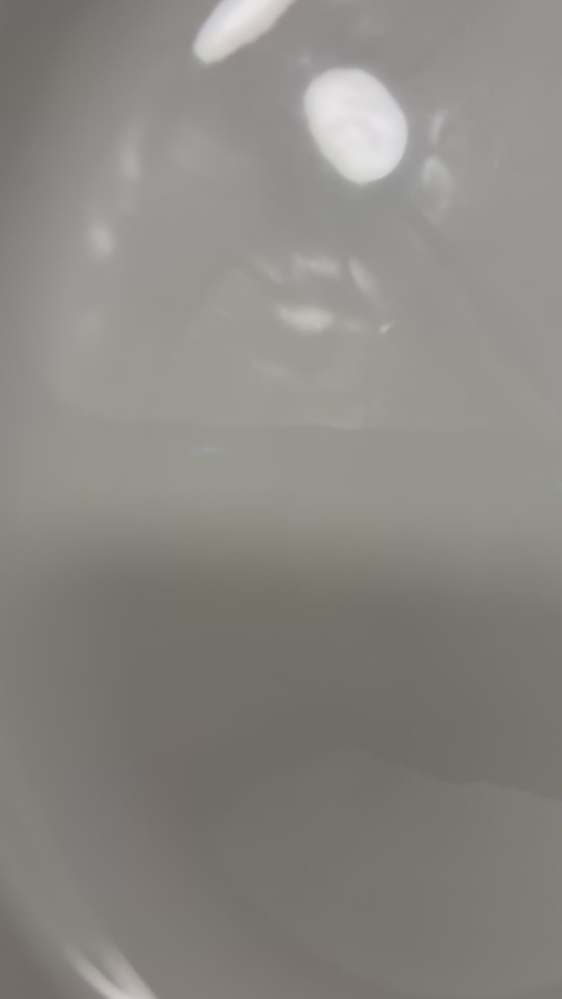 Stonehenge Midwinter White Dinner Plate