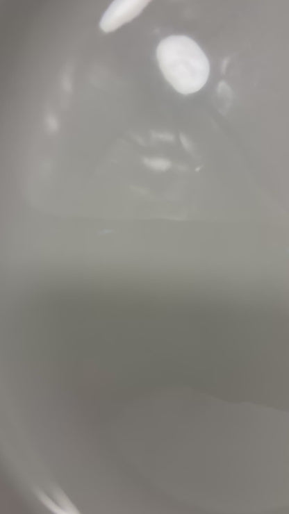Stonehenge Midwinter White Dinner Plate