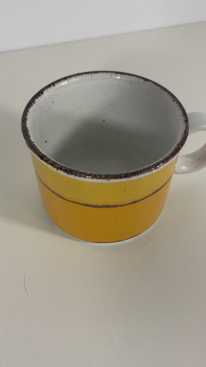 Stonehenge Midwinter Sun Teacup