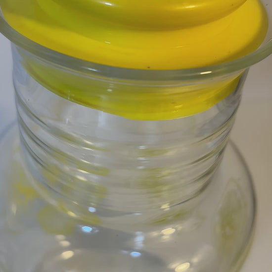 Pyrex Lemon Slice 2 Liter Pitcher