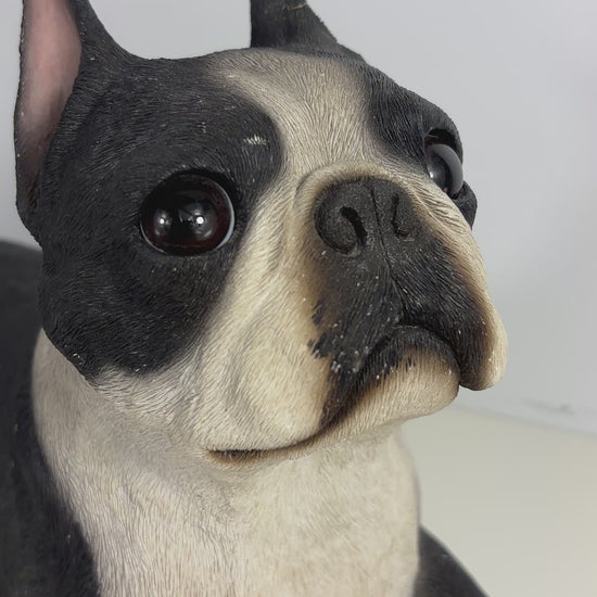 Sandicast Sandra Brue Lying Boston Terrier Sculpture