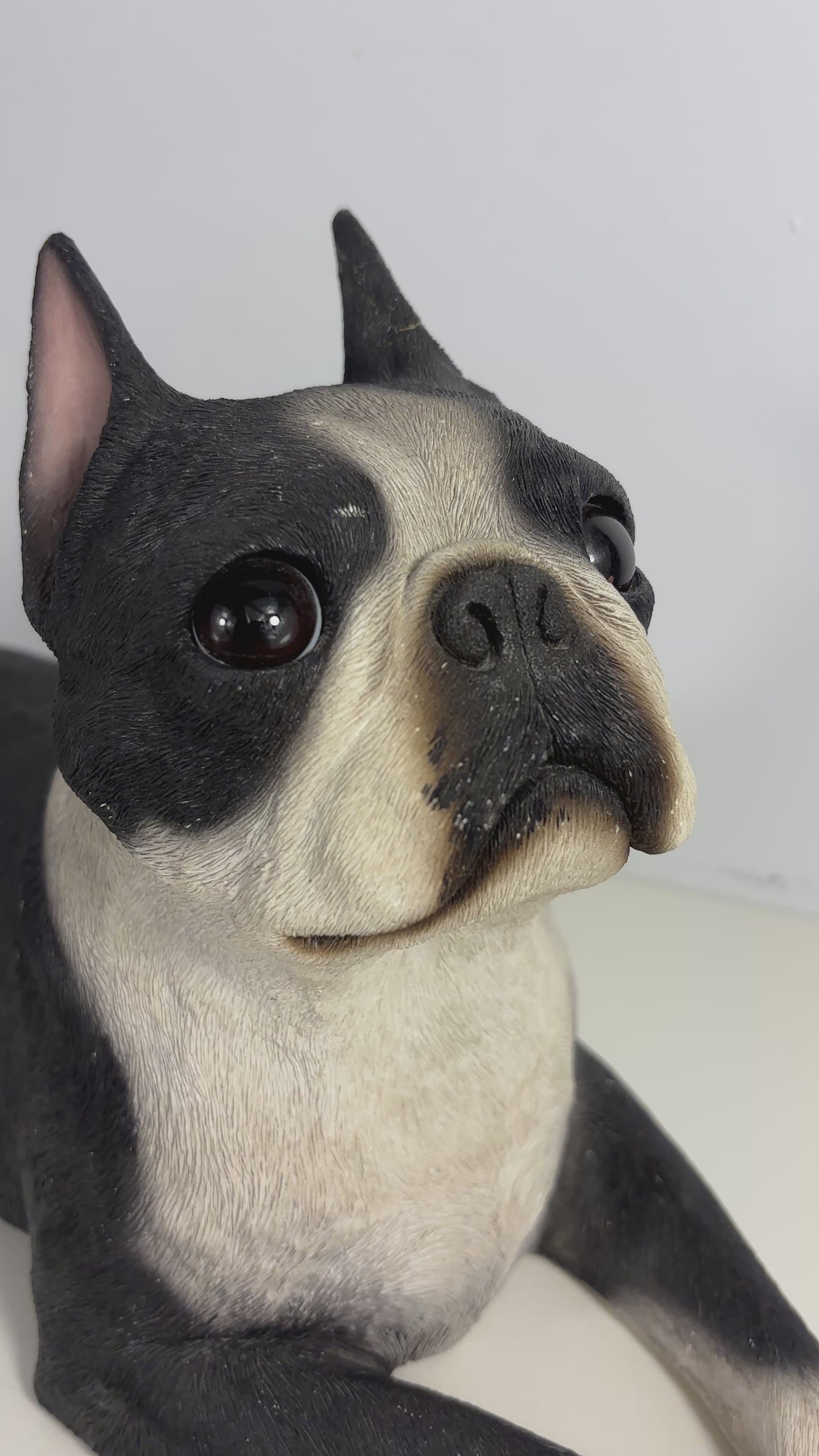 Sandicast Sandra Brue Lying Boston Terrier Sculpture