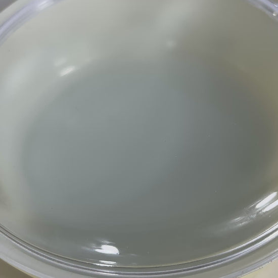 Pyrex Shenandoah 500ml Vintage Casserole Dish