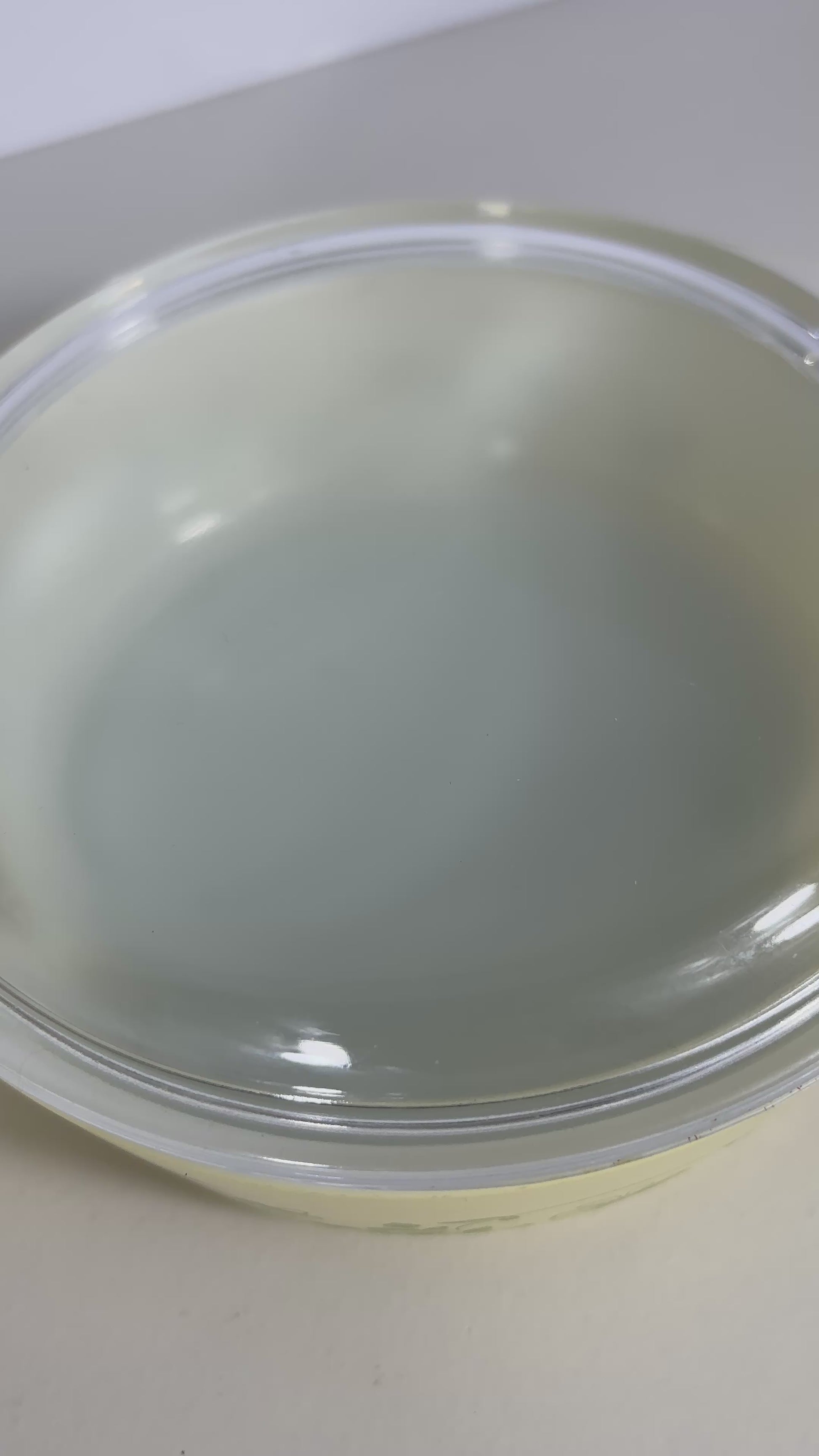 Pyrex Shenandoah 500ml Vintage Casserole Dish