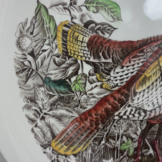 Johnson Brothers Game Birds Wild Turkey Plate