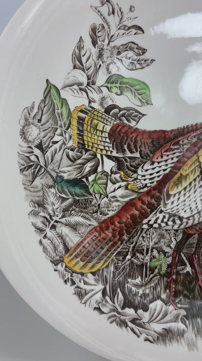 Johnson Brothers Game Birds Wild Turkey Plate