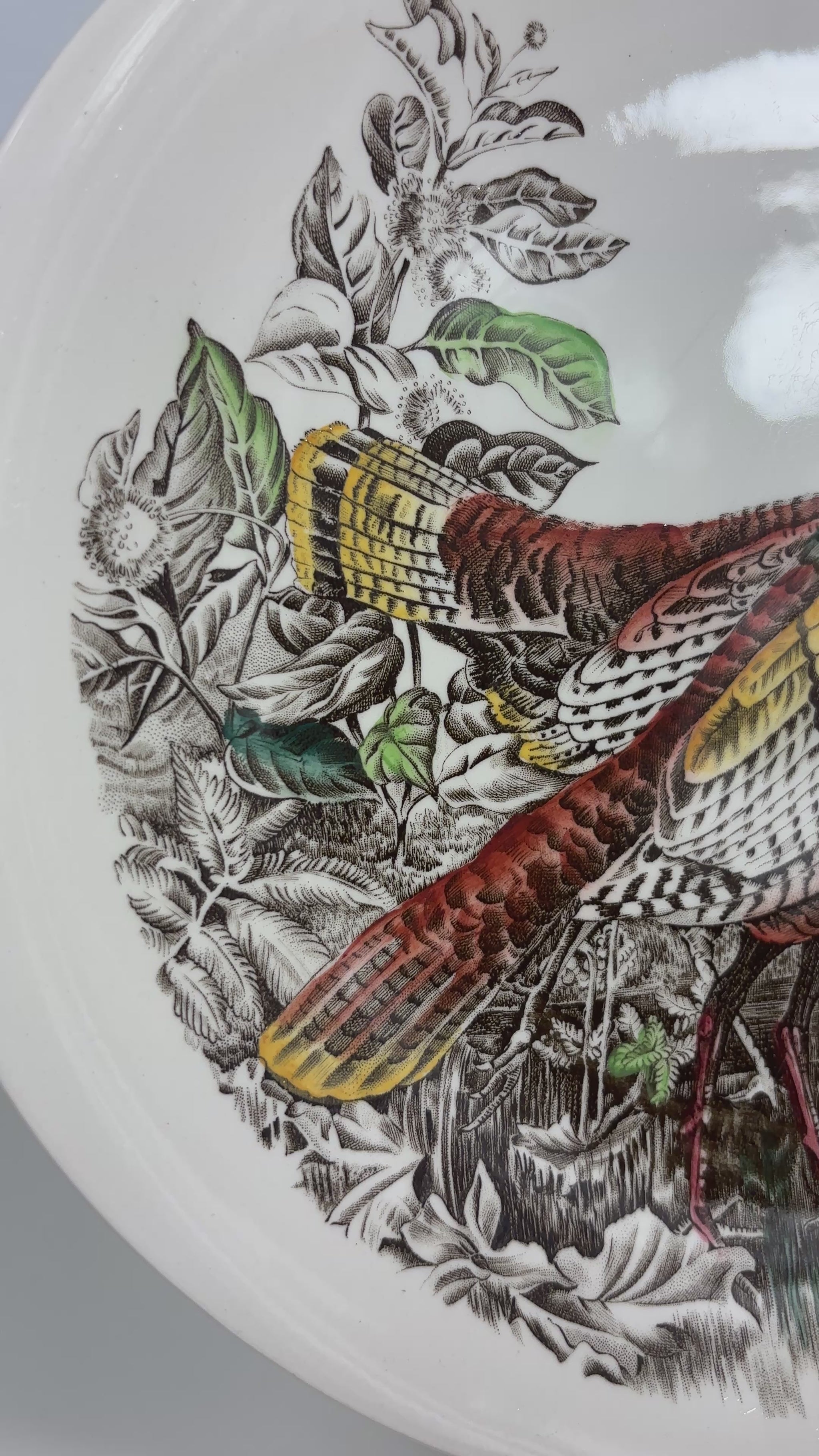 Johnson Brothers Game Birds Wild Turkey Plate