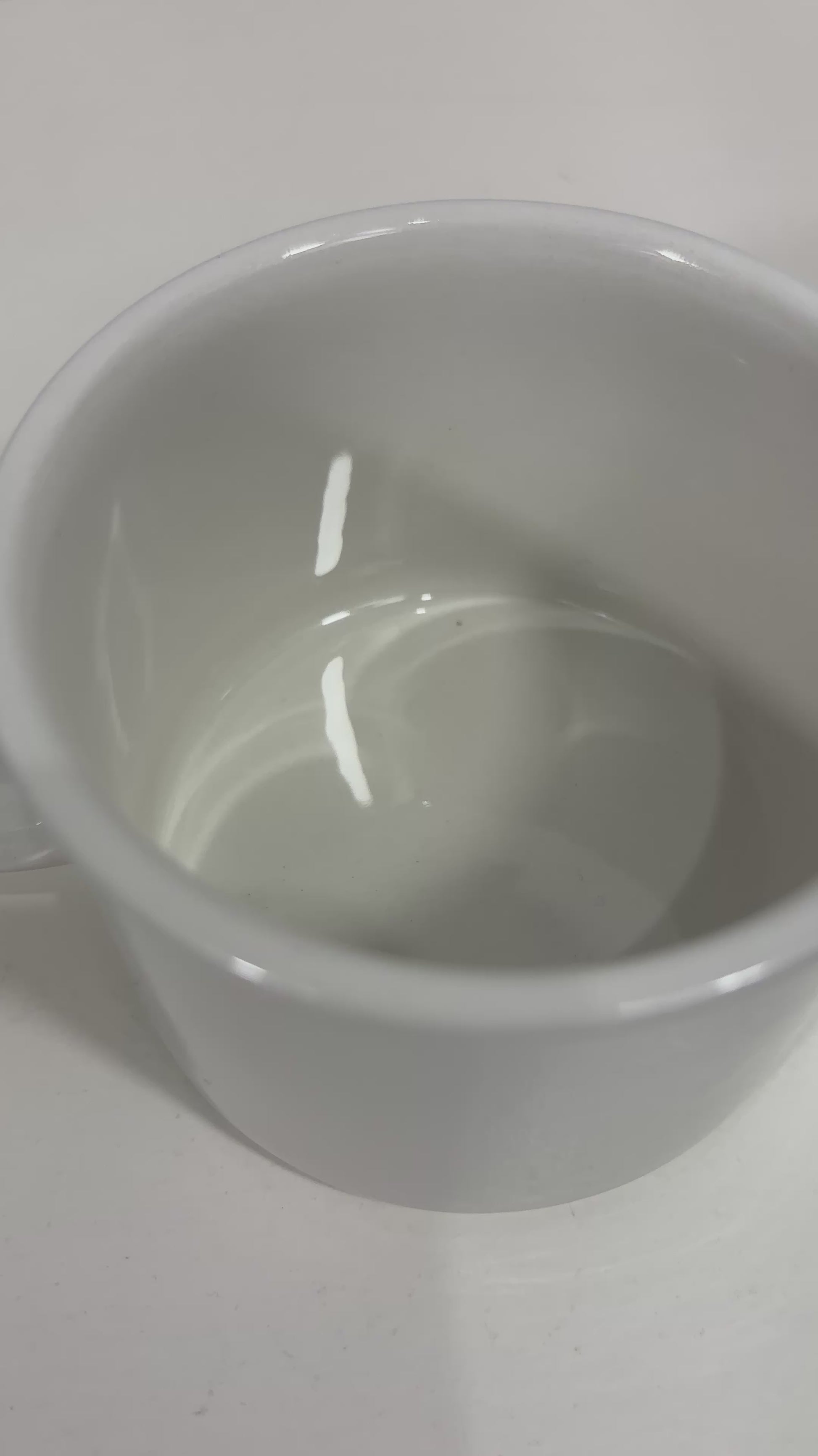 Stonehenge Midwinter White Teacup