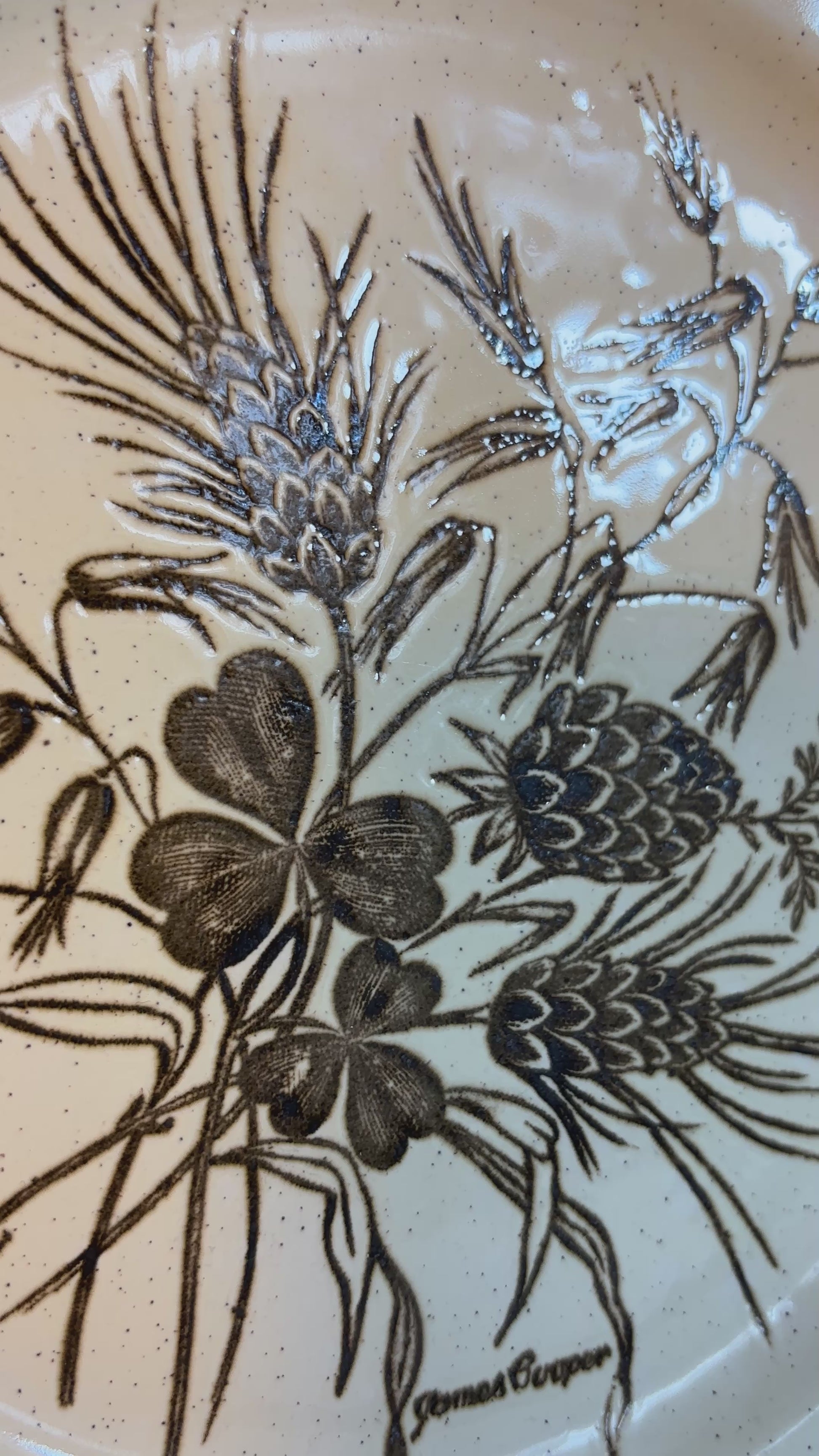 James Cooper Field Fare Dinner Plate