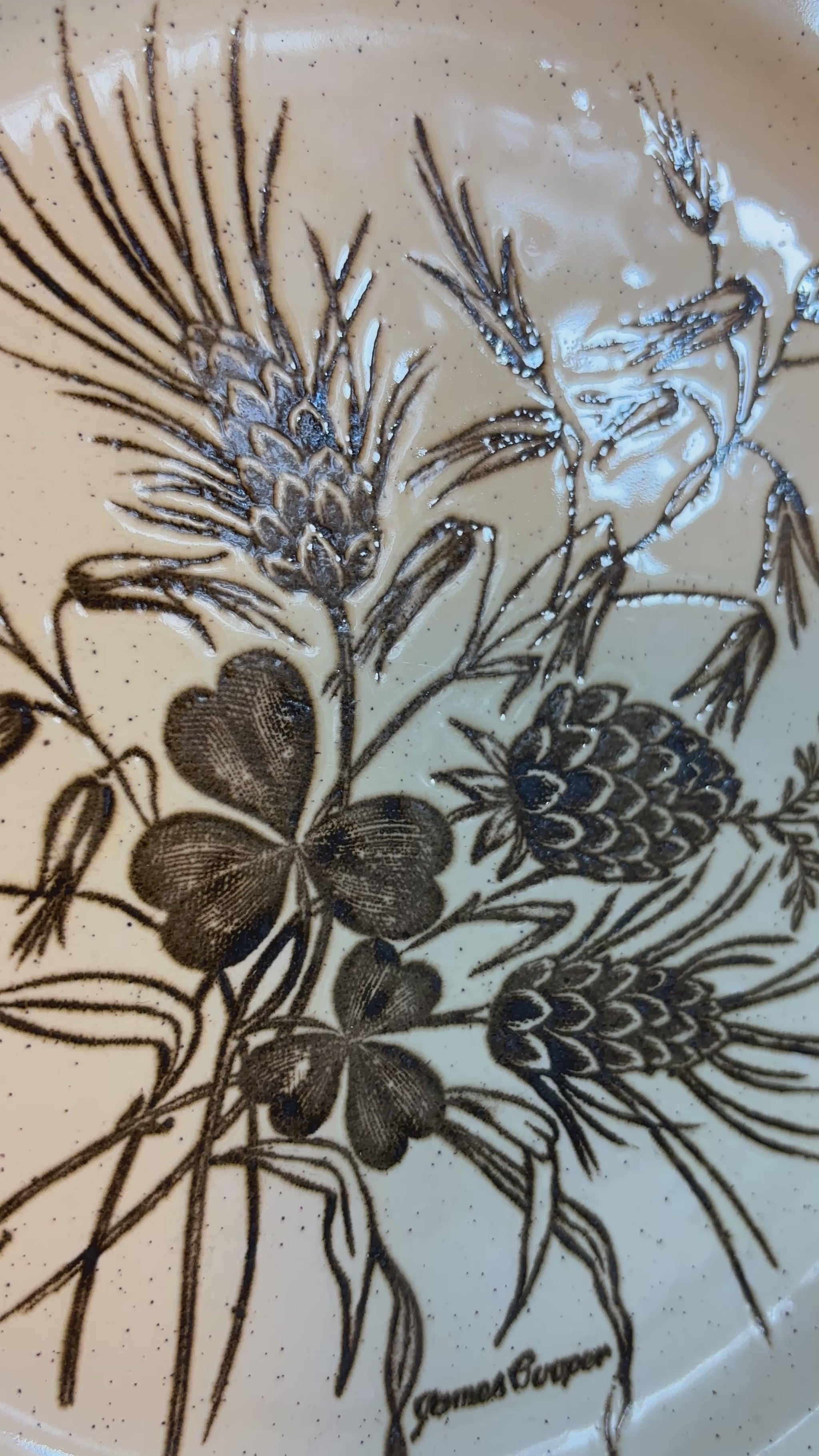 James Cooper Field Fare Dinner Plate