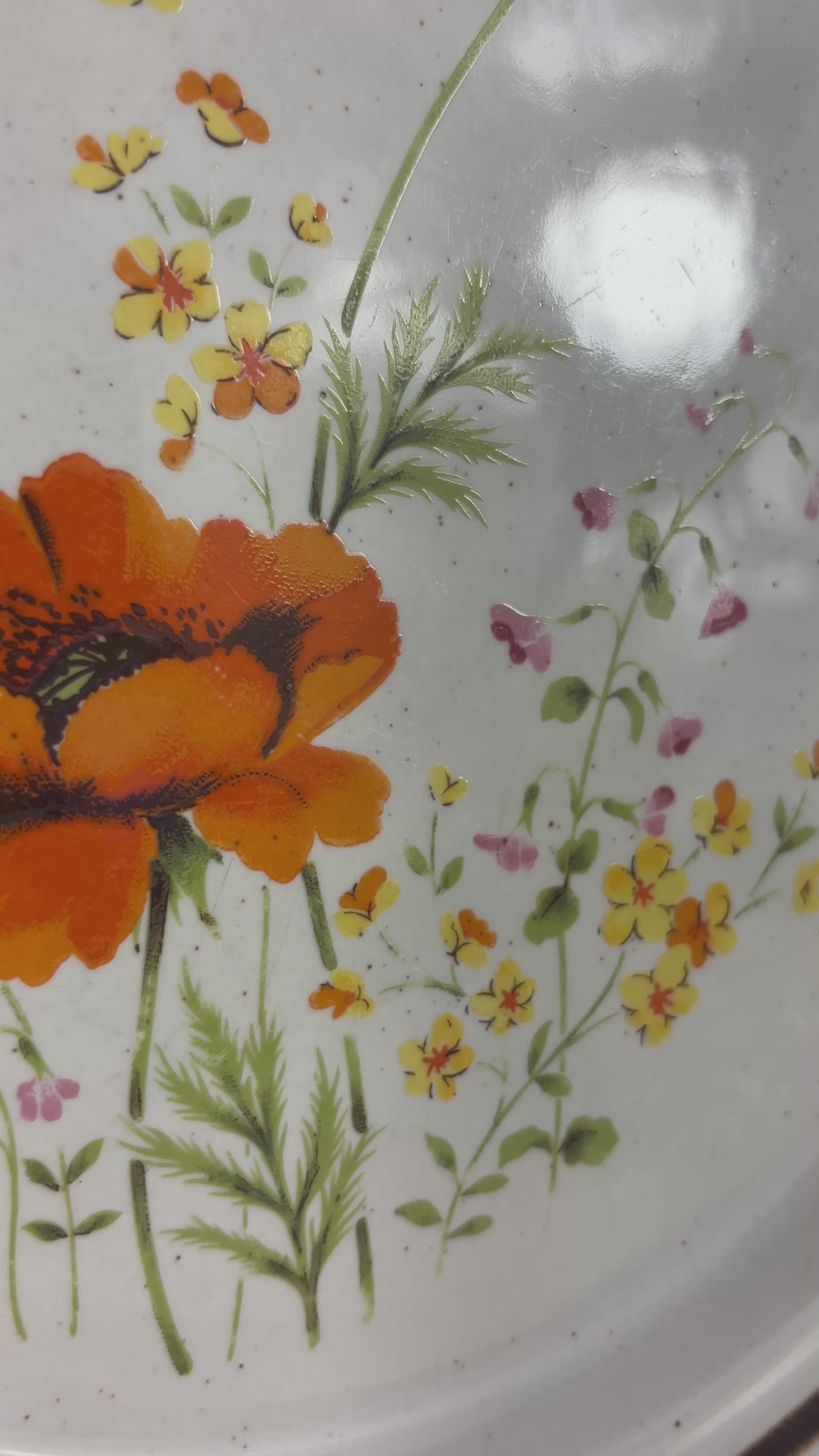 Haniwa Stone Fleur D’Ete Dinner Plates