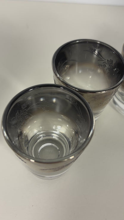 Vitreon Queens Lustreware Silver Fade Shot Glass Set