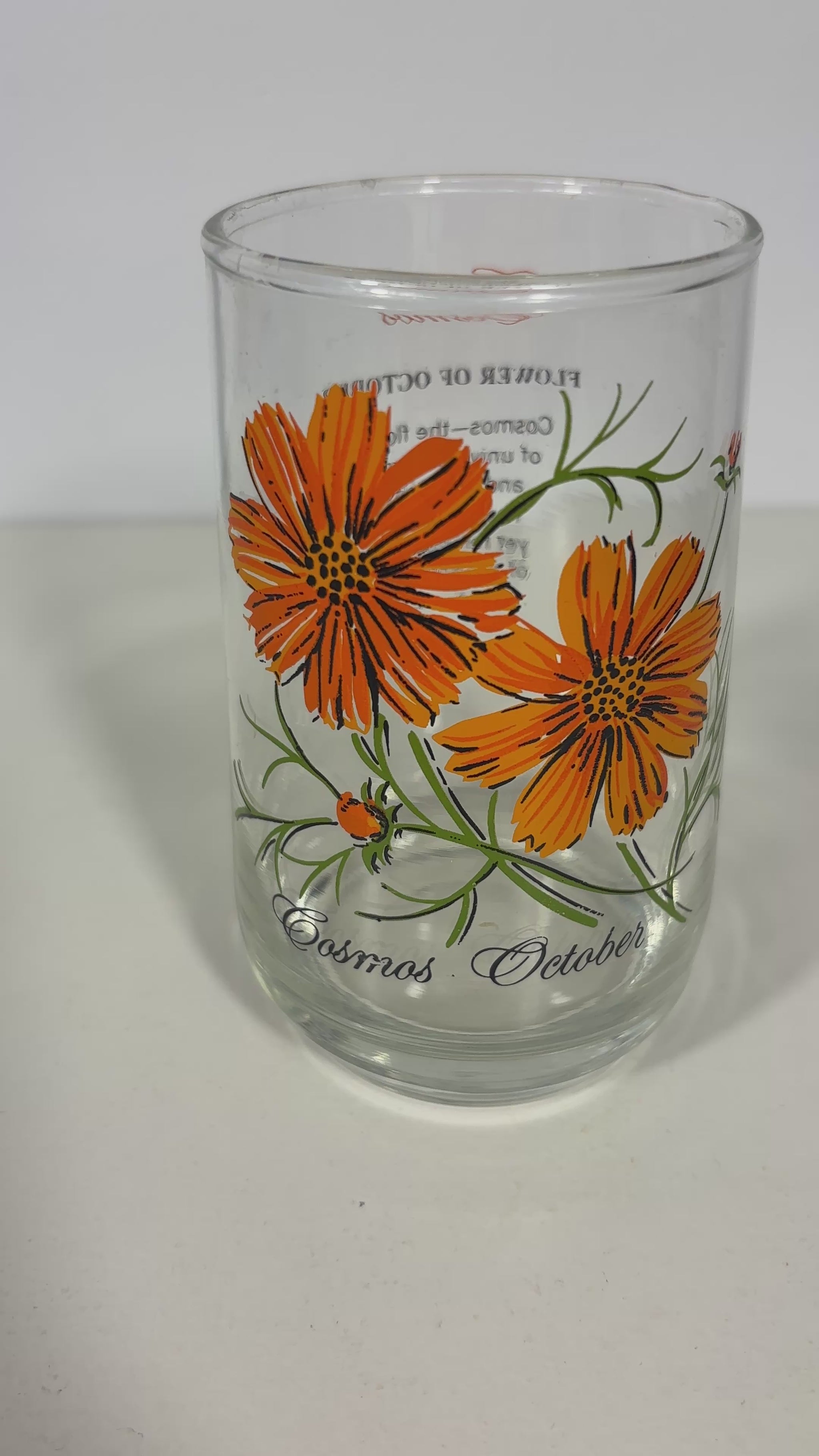 Dominion Glass Cosmos October Flower of the Month Glass Tumbler