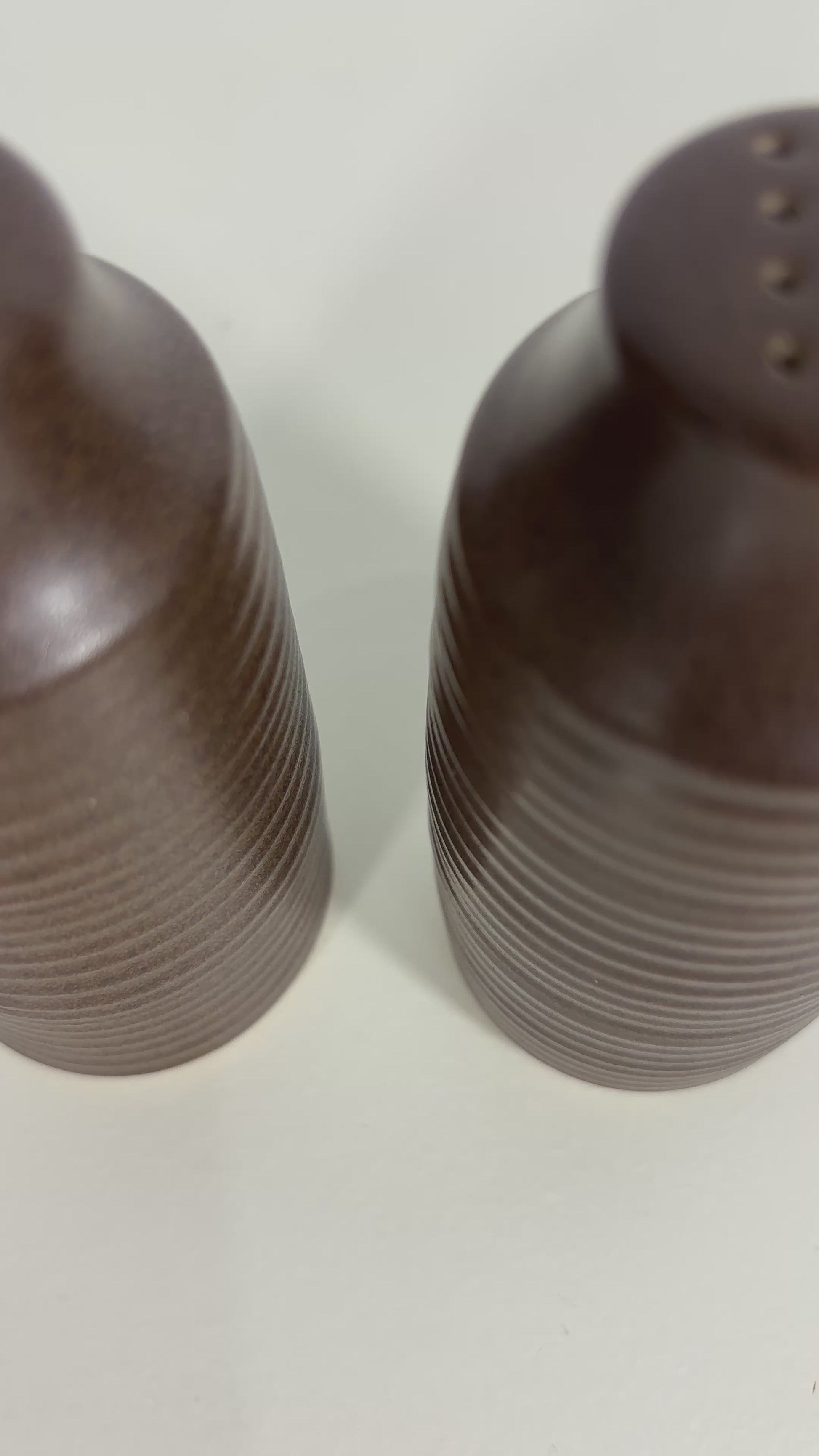 Denby Mayflower Stoneware Salt and Pepper Shakers