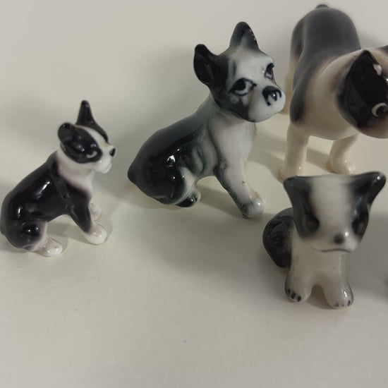 Lot of Boston Terrier Frenchie Miniature Dog Figurines