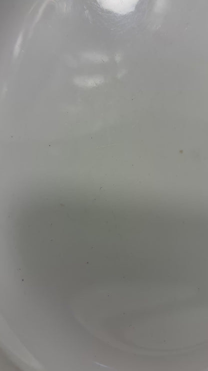 Midwinter Stonehenge White Dinner Plates