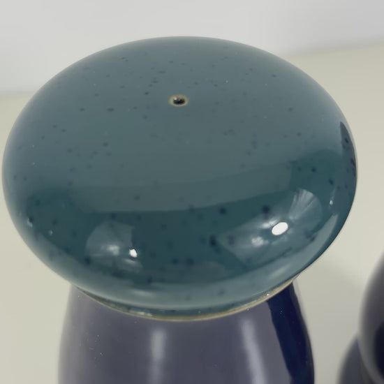 Denby Harlequin Salt and Pepper Shakers