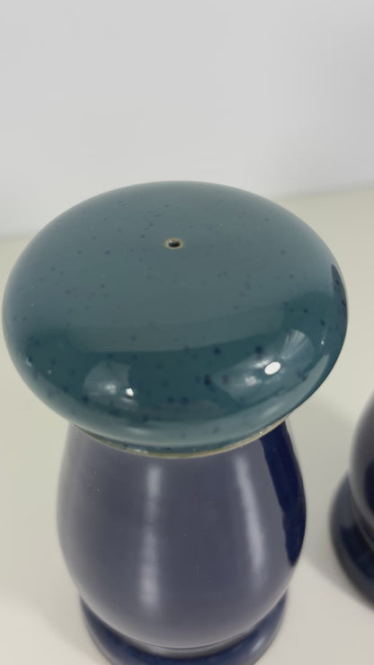 Denby Harlequin Salt and Pepper Shakers