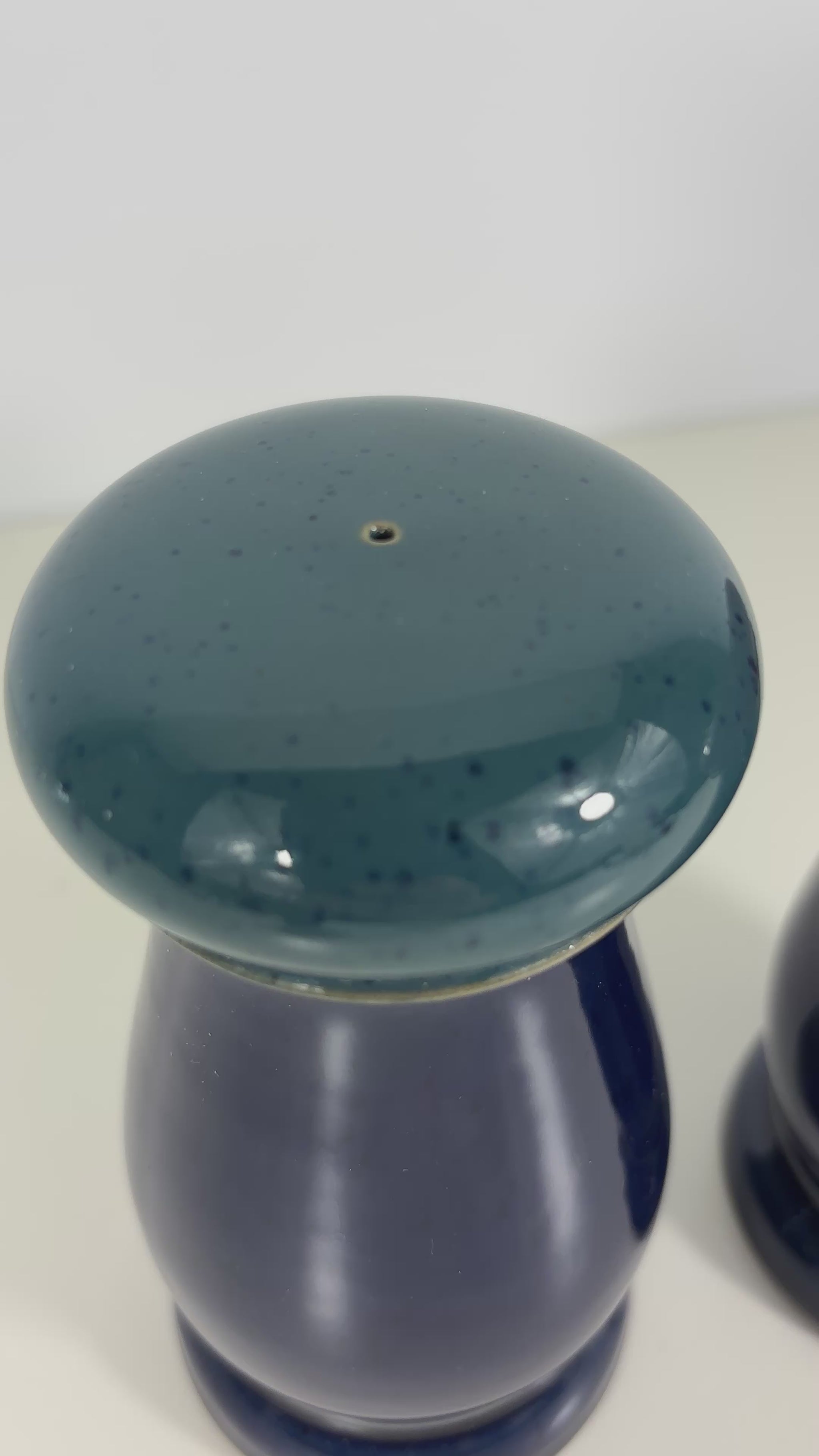 Denby Harlequin Salt and Pepper Shakers