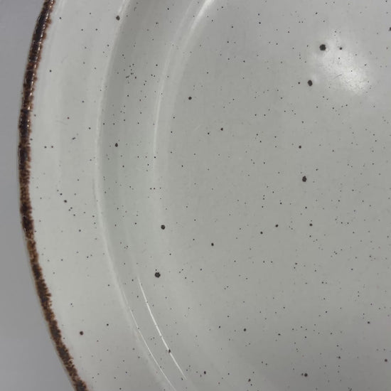 Stonehenge Midwinter Creation Dinner Plate