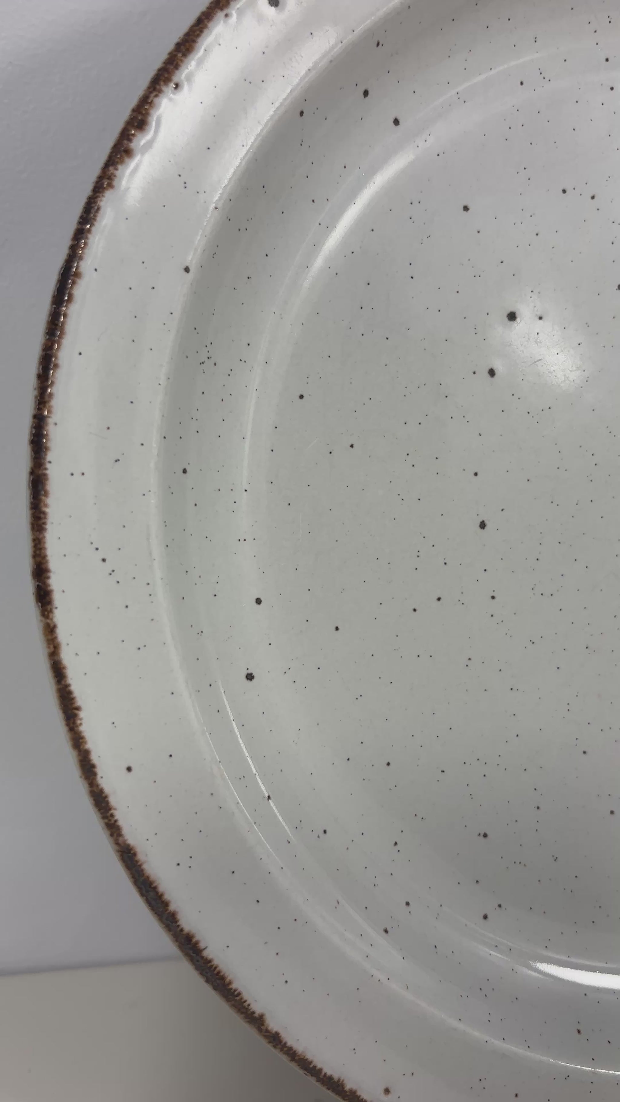 Stonehenge Midwinter Creation Dinner Plate