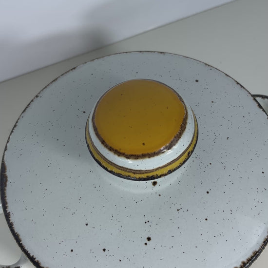 Stonehenge Midwinter Sun Covered Casserole Dish