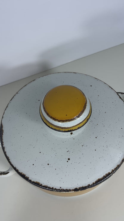 Stonehenge Midwinter Sun Covered Casserole Dish
