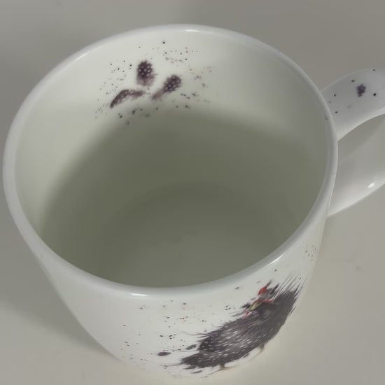 Royal Worcester Wrendale A Fair Fowl Mug