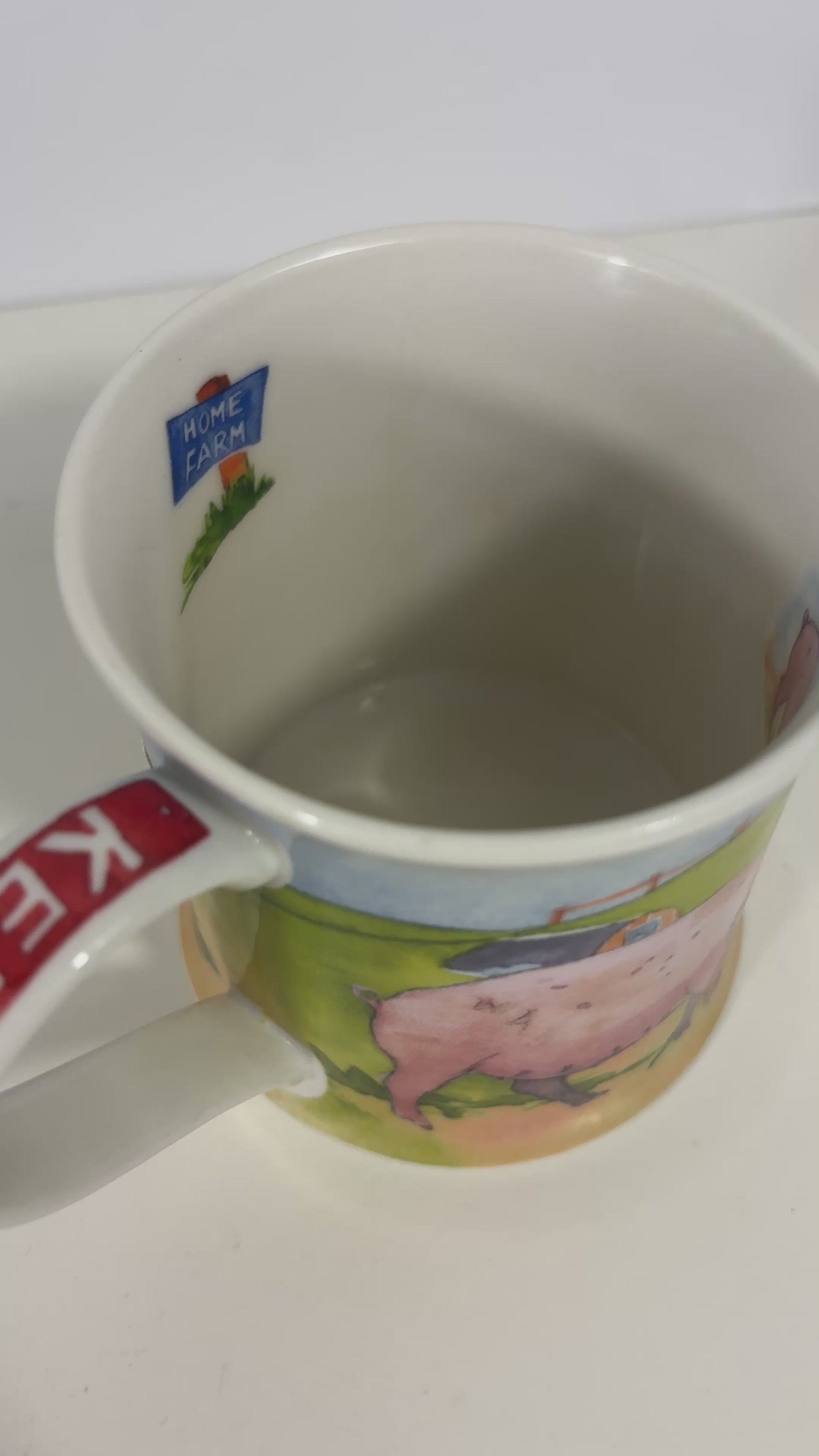 Dunoon Emma Ball Home Farm Pig Theme Mug