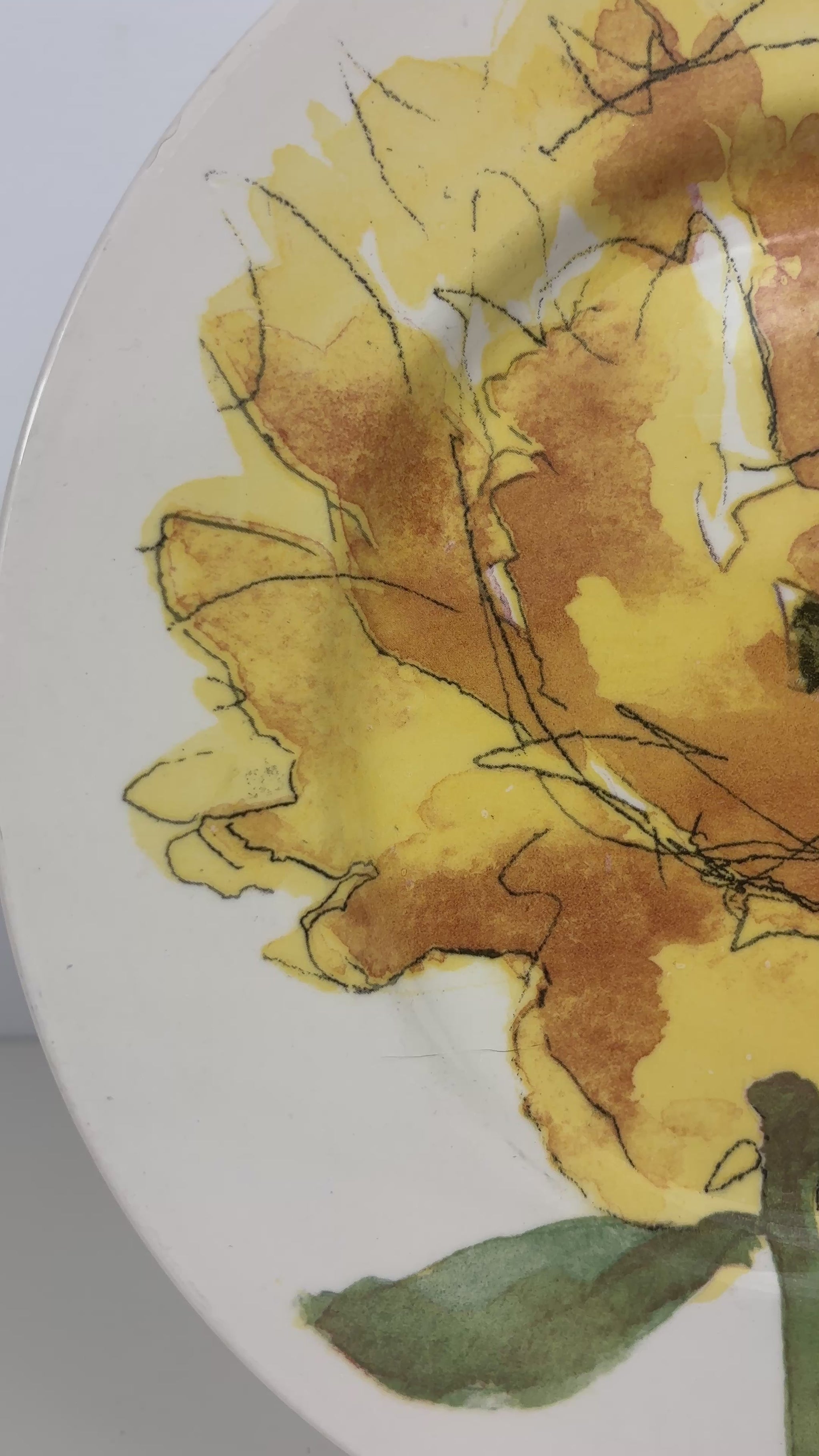 Royal Stafford Yellow Poppy Dinner Plate