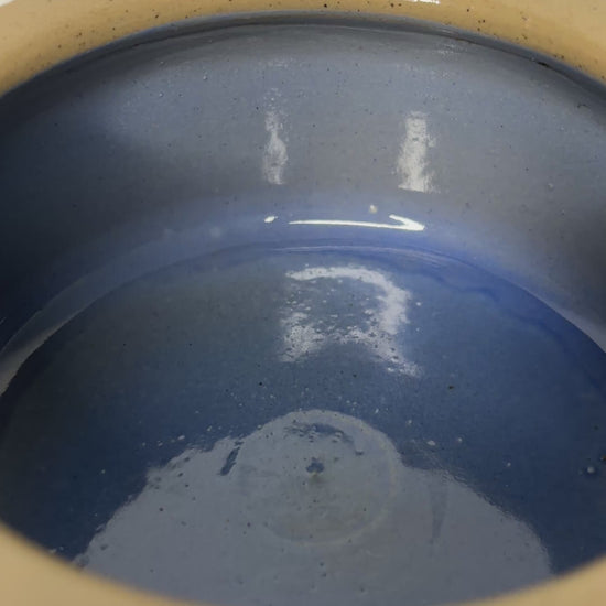 Bretby Stoneware Small Dog Bowl