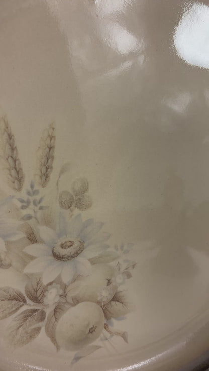Denby Memories Dinner Plates