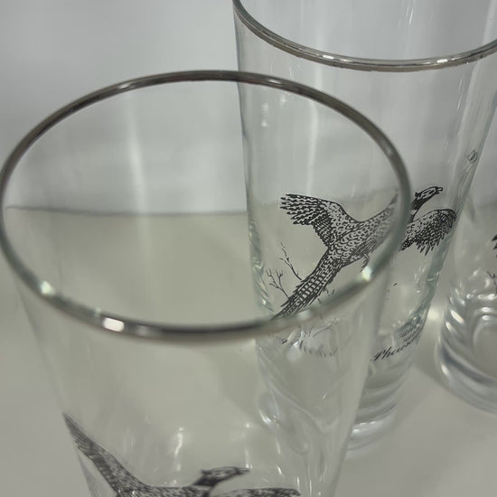 1960s Federal Glass Sportsman Bird Theme Highball Glasses Set