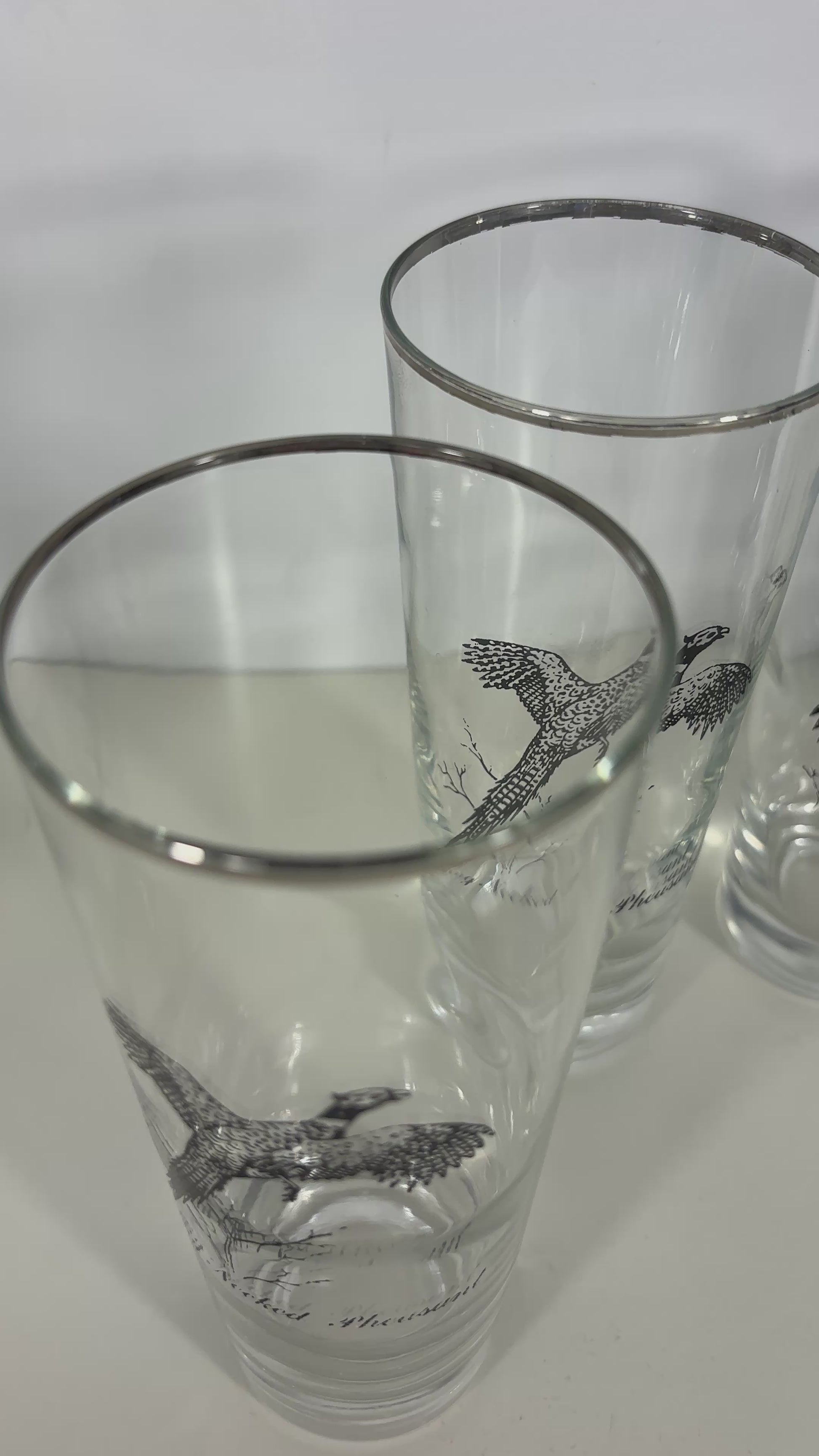 1960s Federal Glass Sportsman Bird Theme Highball Glasses Set