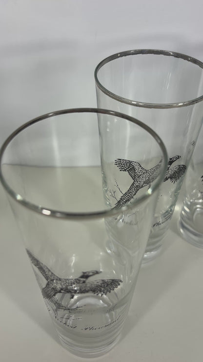 1960s Federal Glass Sportsman Bird Theme Highball Glasses Set