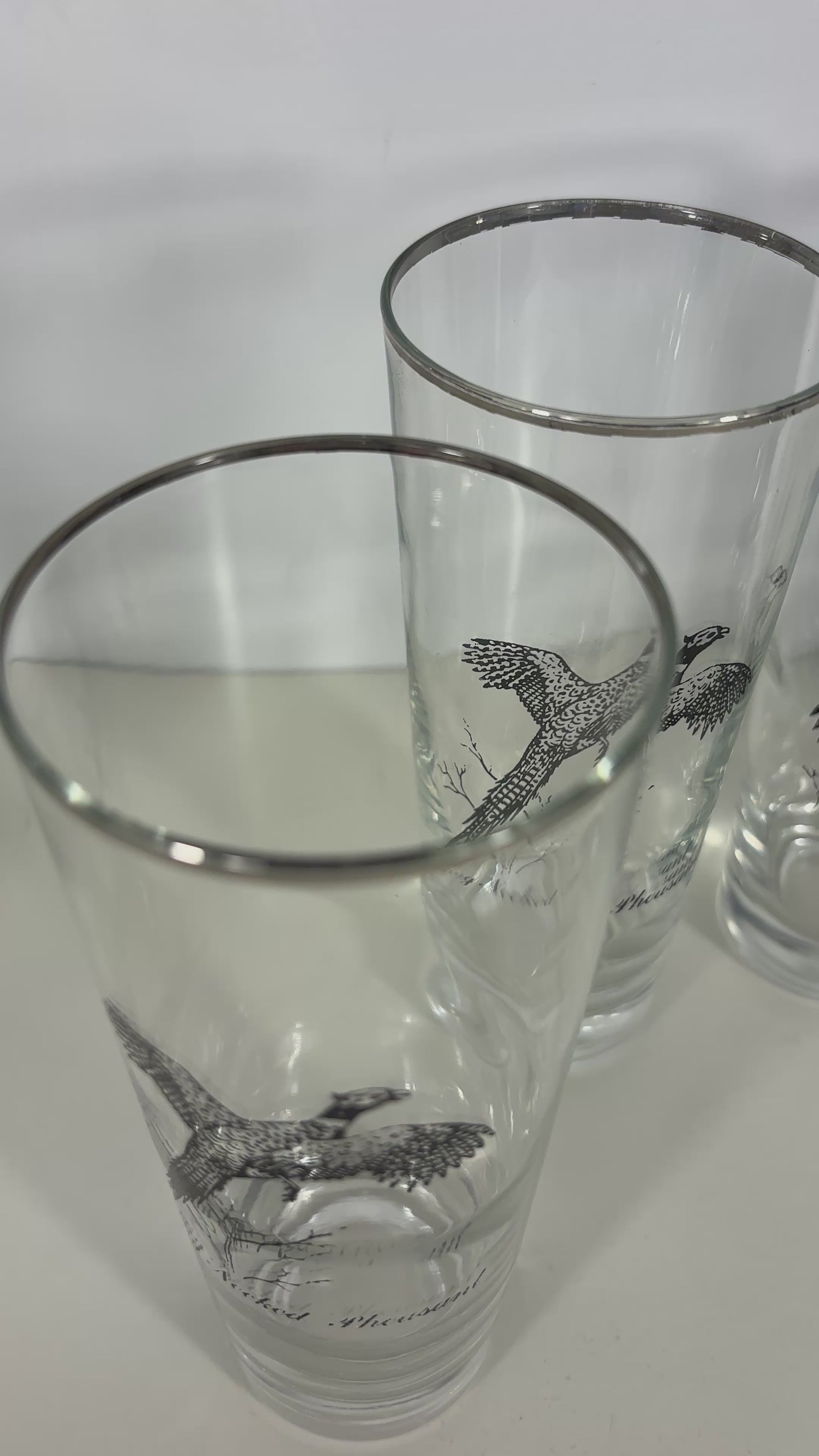 1960s Federal Glass Sportsman Bird Theme Highball Glasses Set
