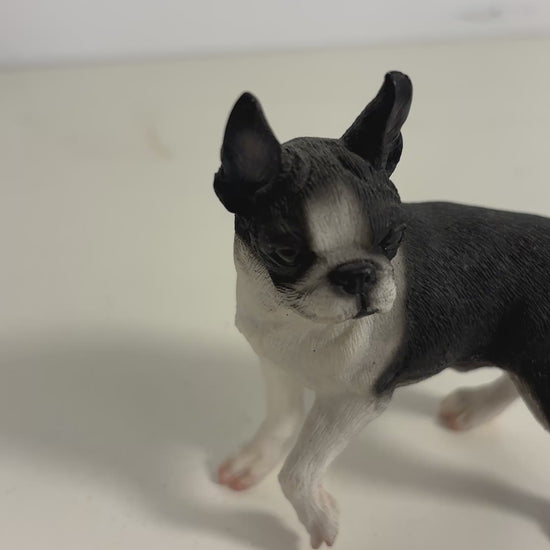 Conversation Concepts Expecting Mom Boston Terrier Figurine
