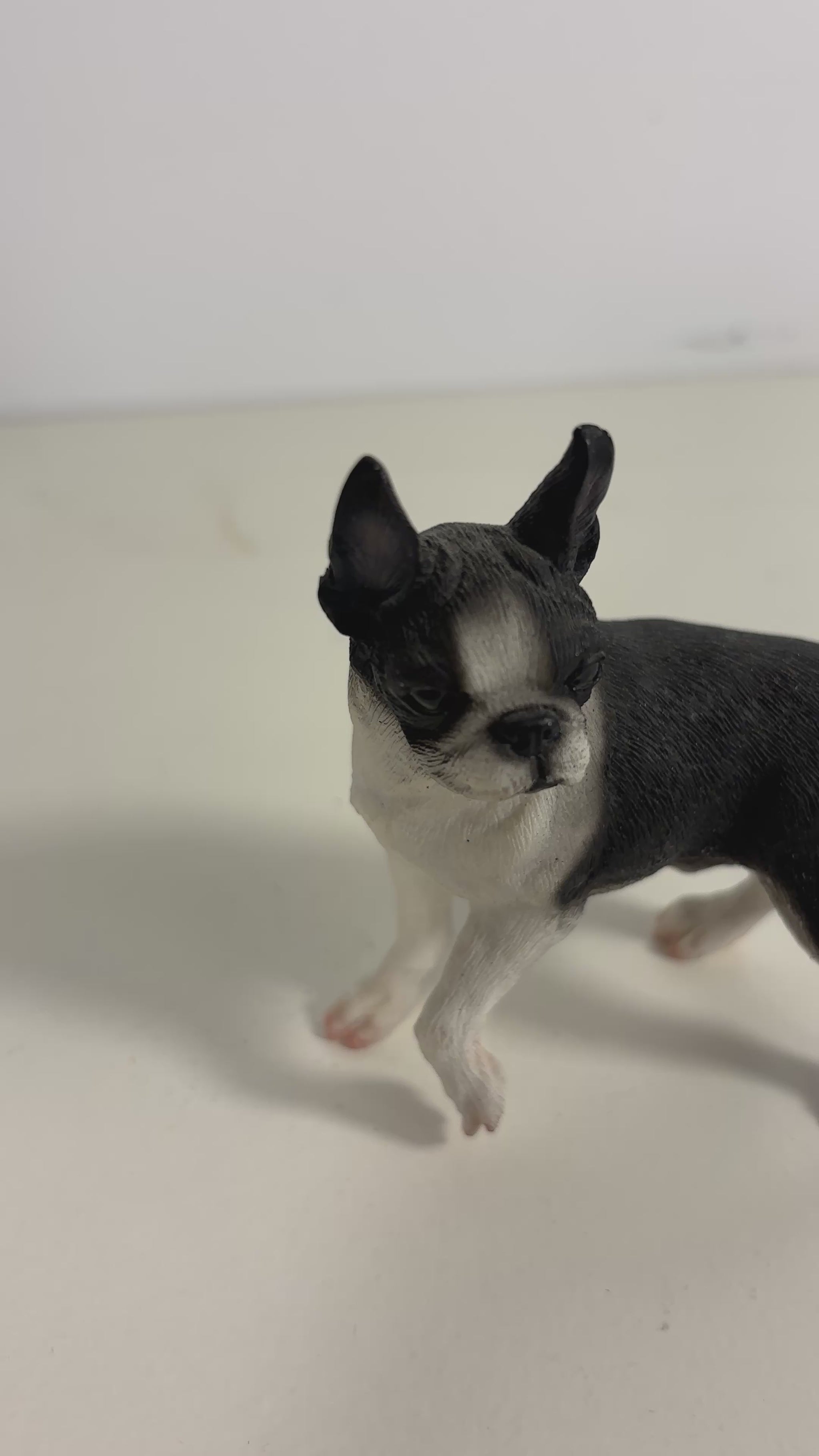 Conversation Concepts Expecting Mom Boston Terrier Figurine