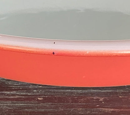 Pyrex Flamingo Pink Pie Plate