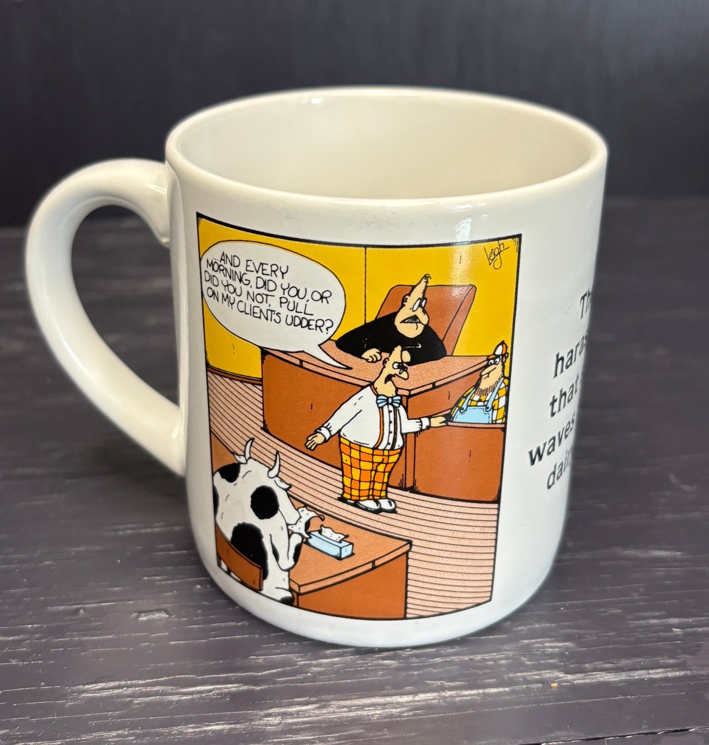 The Far Side Courtroom Mug