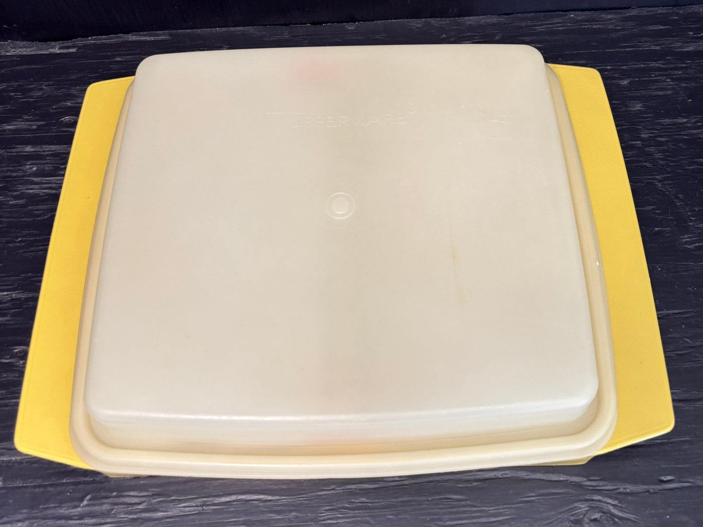 Tupperware Egg holder
