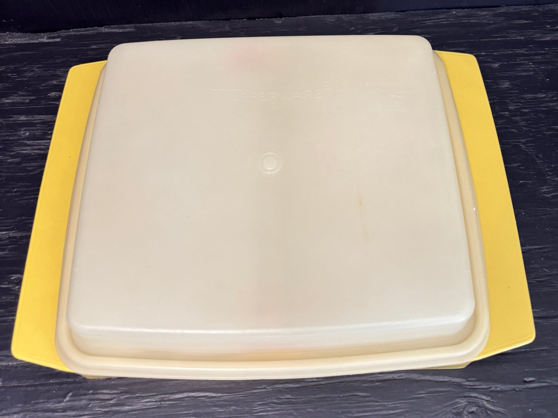 Tupperware Egg holder